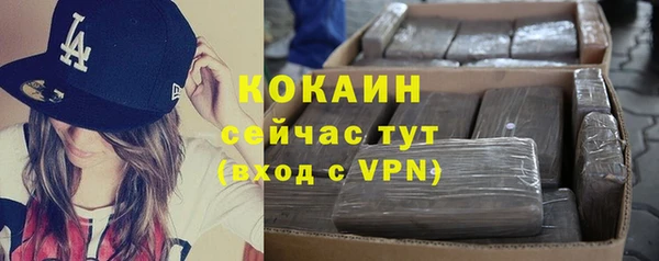 спиды Вяземский