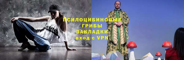 дмт Горно-Алтайск