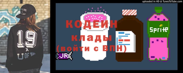 спиды Вяземский