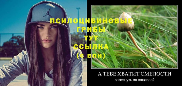 дмт Горно-Алтайск