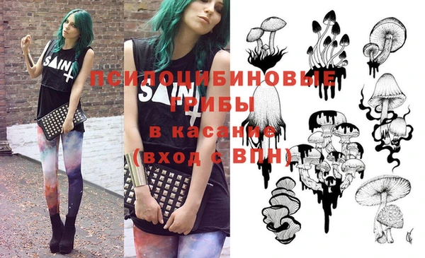 спиды Вяземский